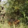 indian army kashmir 11zon e1698330629530 Lahore,Karachi,Pakistan