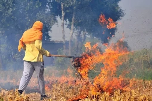stubble burning punjab farm fires delhi air pollution air pollution delhi 2023 09 1d9b71f8620e81e930