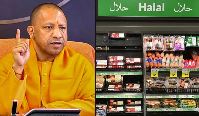 yogi halal
