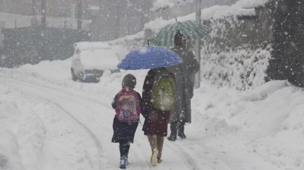 kashmir snow compressed