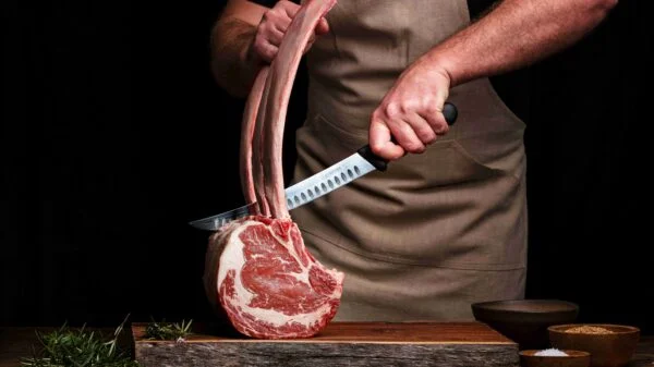 meat compressed