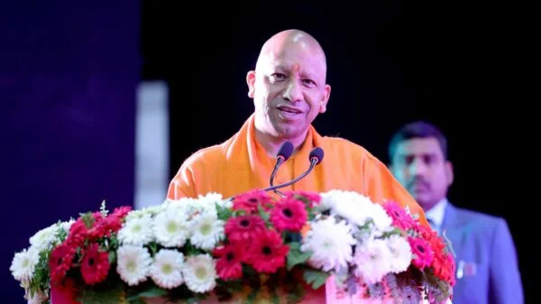 yogi new