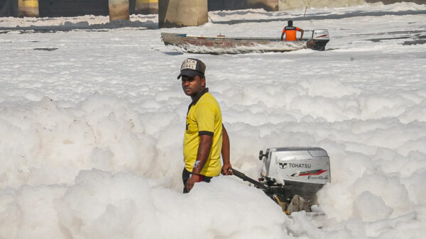 In Photos: Delhi's Yamuna Riverfront Plagued by Pollution, Foam Blankets Kalindi Kunj Waters