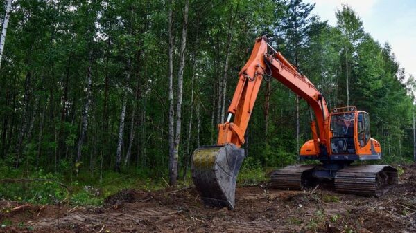 Over 90 Forest Rights Groups Slam MoEF for Undermining FRA, Seek PM Modi's Intervention