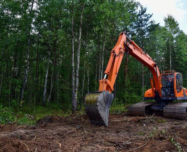 Over 90 Forest Rights Groups Slam MoEF for Undermining FRA, Seek PM Modi's Intervention