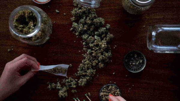 marijuana