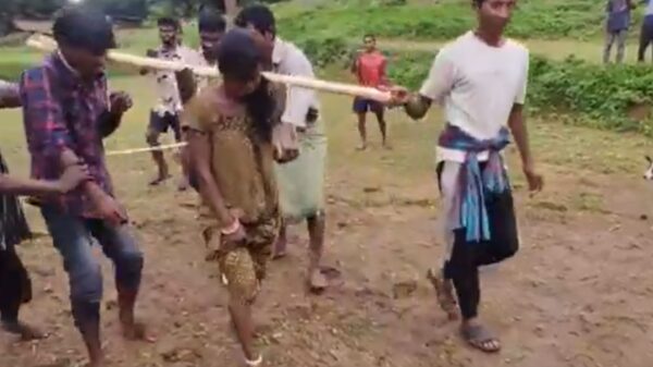Odisha Tribal couple plough