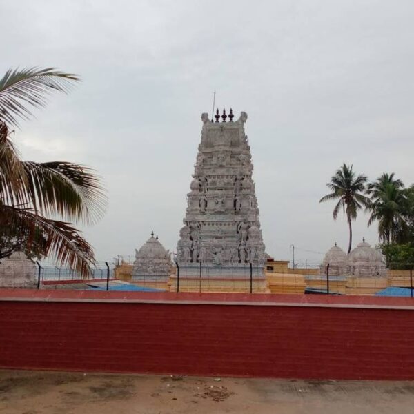 Temple Is for All Banner Supporting Dalit Entry Sparks Violence in Tamil Nadu's Karur