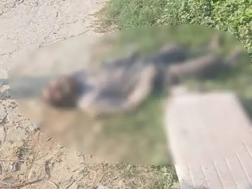 Muslim Man Found Dead in Gorakhpur After 'Beating on Suspicion of Theft', Police Probe Underway