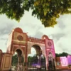 Jamia Millia Islamia