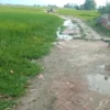 'Bullying and Discrimination': Dalit Colony in UP's Chandauli Cut Off as Road Work Halts Over Land Dispute