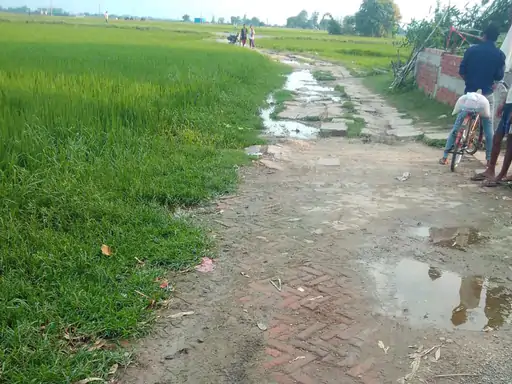 'Bullying and Discrimination': Dalit Colony in UP's Chandauli Cut Off as Road Work Halts Over Land Dispute