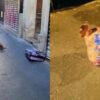 France Probes Anti-Muslim Attacks as Pig Heads Found at Mosques Near Paris