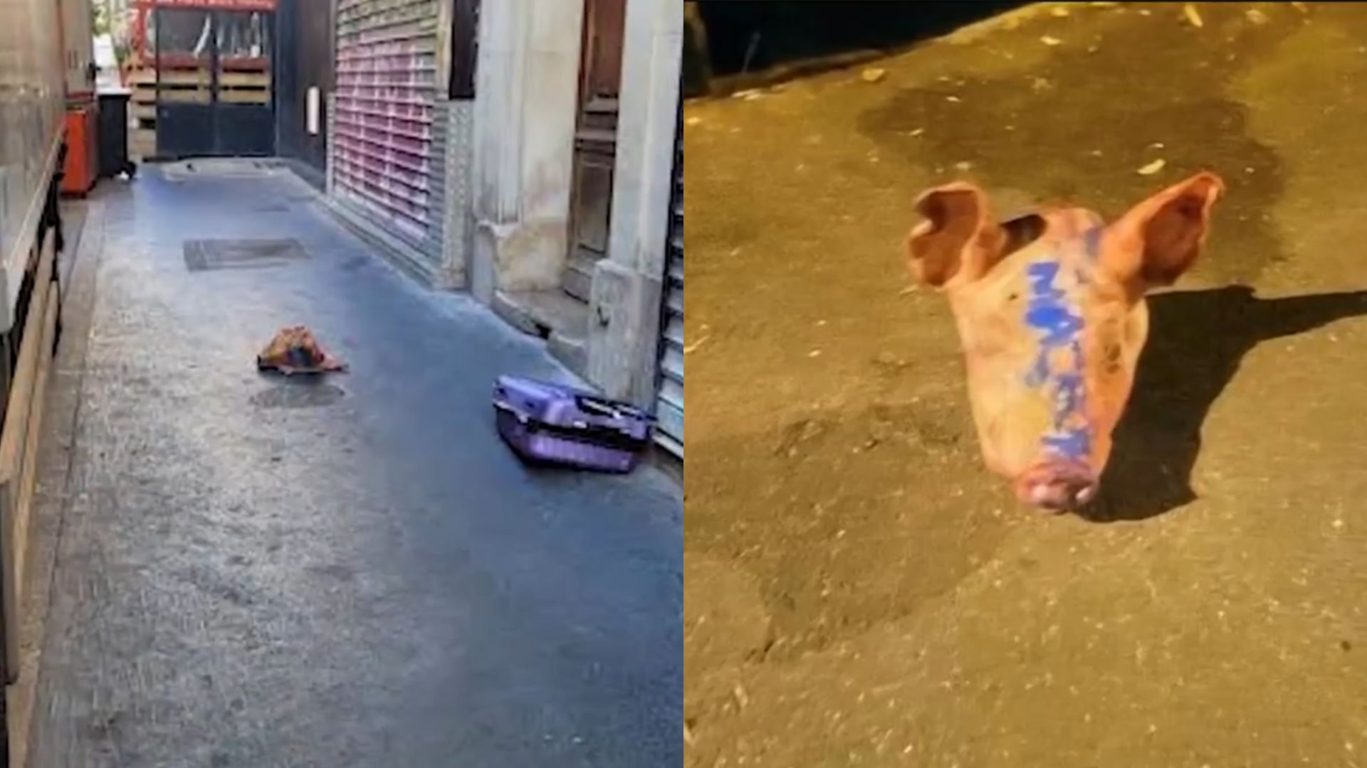 France Probes Anti-Muslim Attacks as Pig Heads Found at Mosques Near Paris