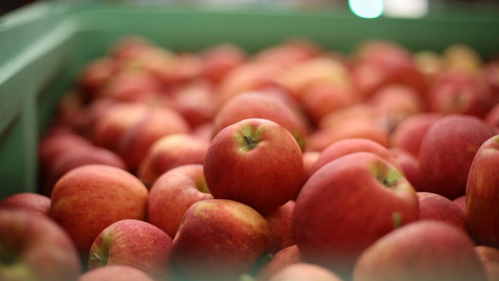 apple kashmir