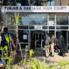punjab haryana HC