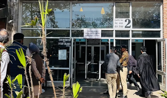 punjab haryana HC