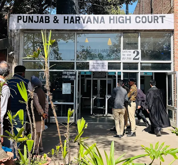 punjab haryana HC