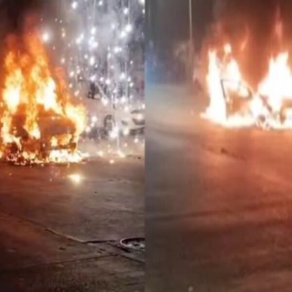 20251110 224930 the observer post,observer post