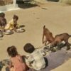 MP Anganwadi midday meal controversy