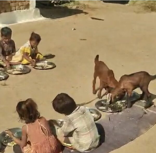 MP Anganwadi midday meal controversy