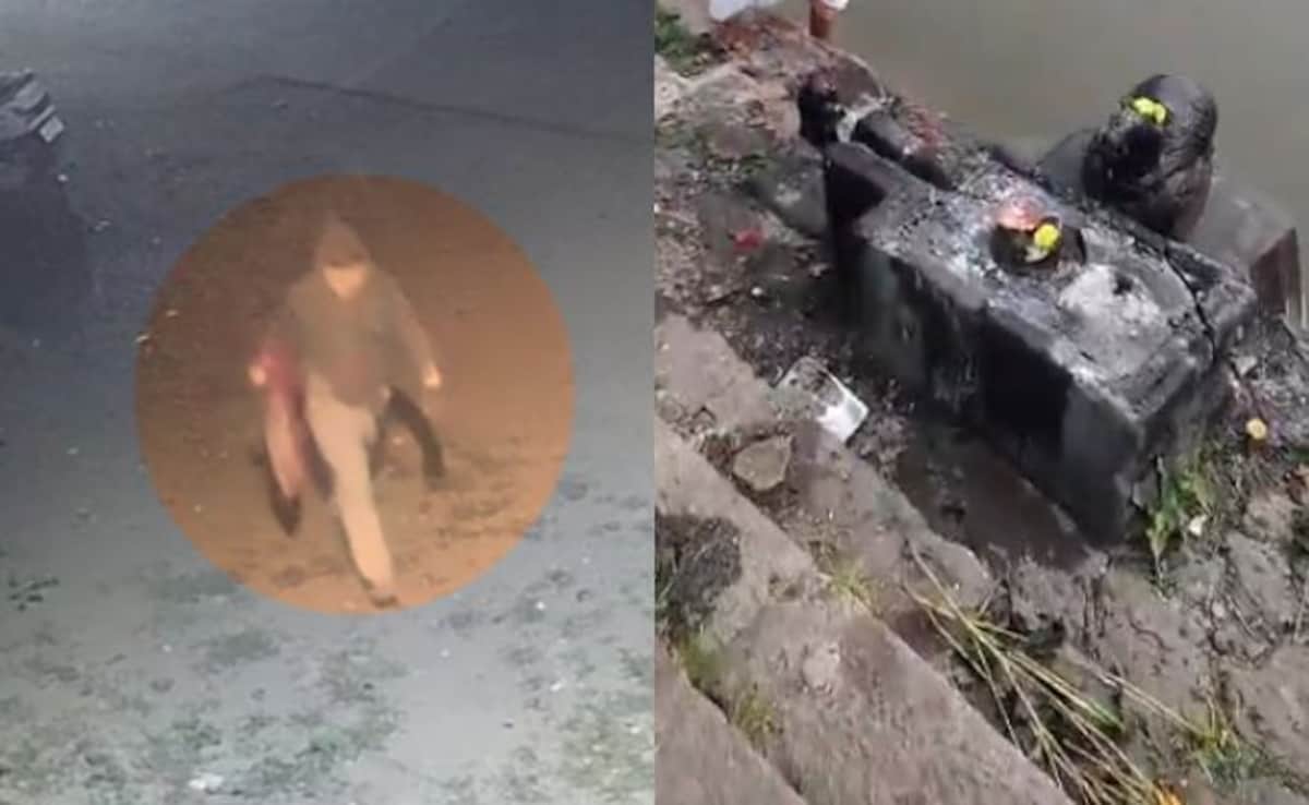 Shiva Lingam at Draksharamam Temple Vandalised; Suspect Neelam Srinivas Apprehended