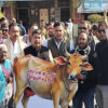 BJP-Linked Slaughterhouse Triggers Protest in Bhopal