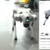 AI Summit: Galgotias University Faces Robot Dog Row