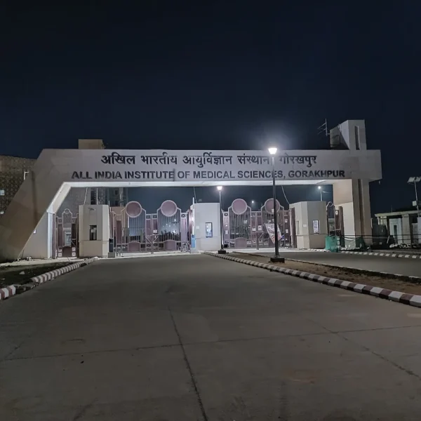 A Nagaland doctor studying at AIIMS Gorakhpur was allegedly stalked, molested and subjected to racial slurs. Two accused have been arrested.