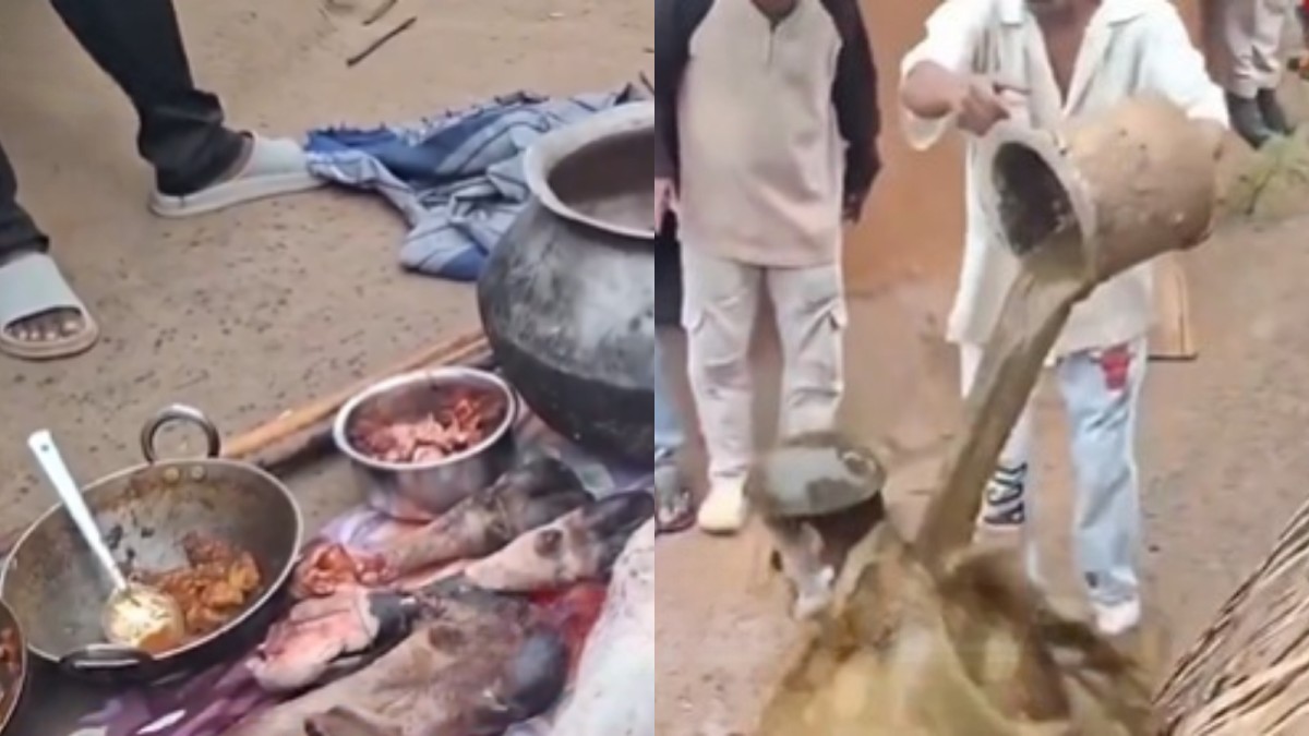 Dalit man publicly humiliated in Kalahandi as video shows assault by alleged cow vigilantes in Bhawanipatna.