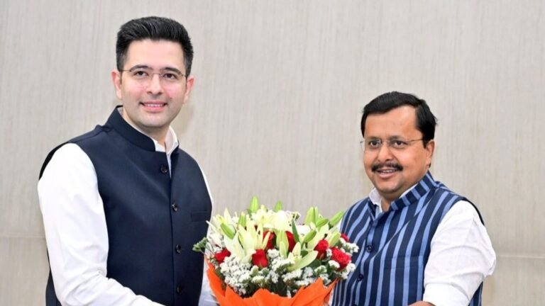 Raghav Chadha, Several AAP MPs Announce Merger with BJP in Rajya Sabha
