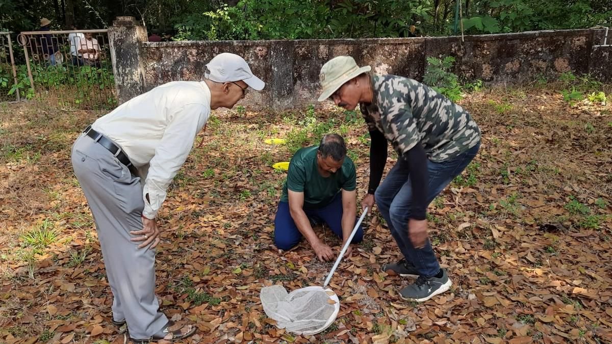 Only 23 Muslims Among 591 Employees at Zoological Survey of India, New Data Shows