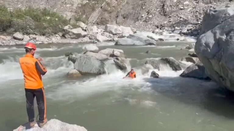 Jammu and Kashmir: Driver Tanveer Missing After Alleged Cow Vigilante Assault, Jumps Into Stream During Chase 1 Jammu and Kashmir: Driver Tanveer Missing After Alleged Cow Vigilante Assault, Jumps Into Stream During Chase