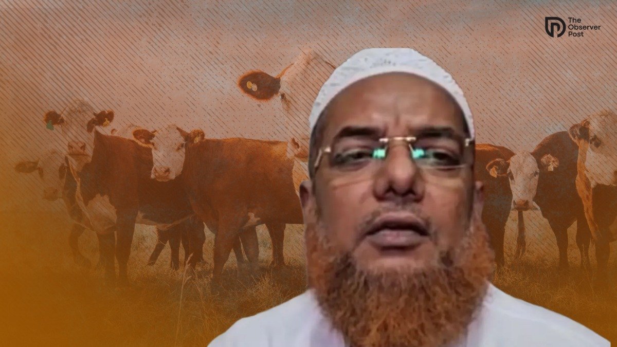 ‘Declare Cow National Animal if Ban Intended’: Kolkata Imam Urges Muslims to Avoid Cow Sacrifice
