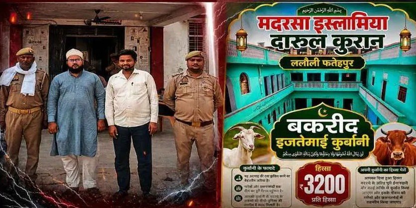 UP Police Detain Two Muslim Men in Fatehpur Over Bakrid WhatsApp Status Featuring Cow Image