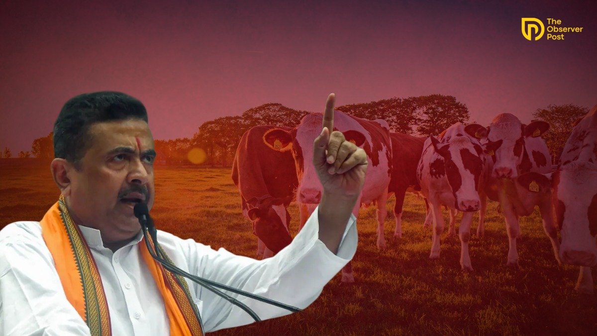 cow west bengal