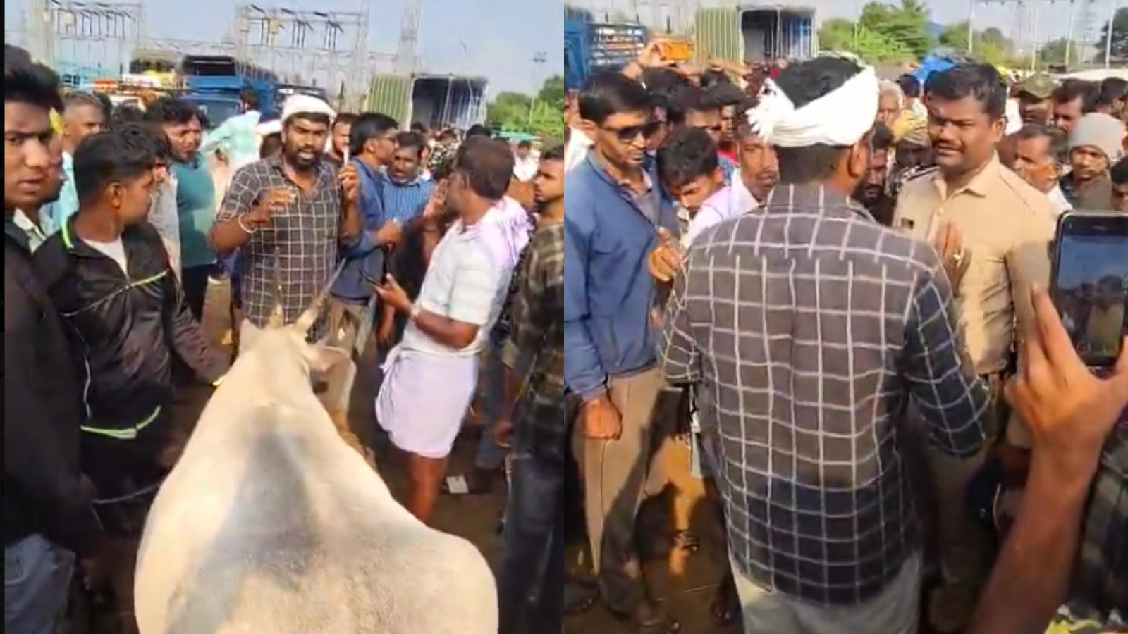 Tension in Karnataka’s Hassan as Muslim Groups Boycott Cattle Purchase Ahead of Eid al-Adha, Farmers Fear Losses