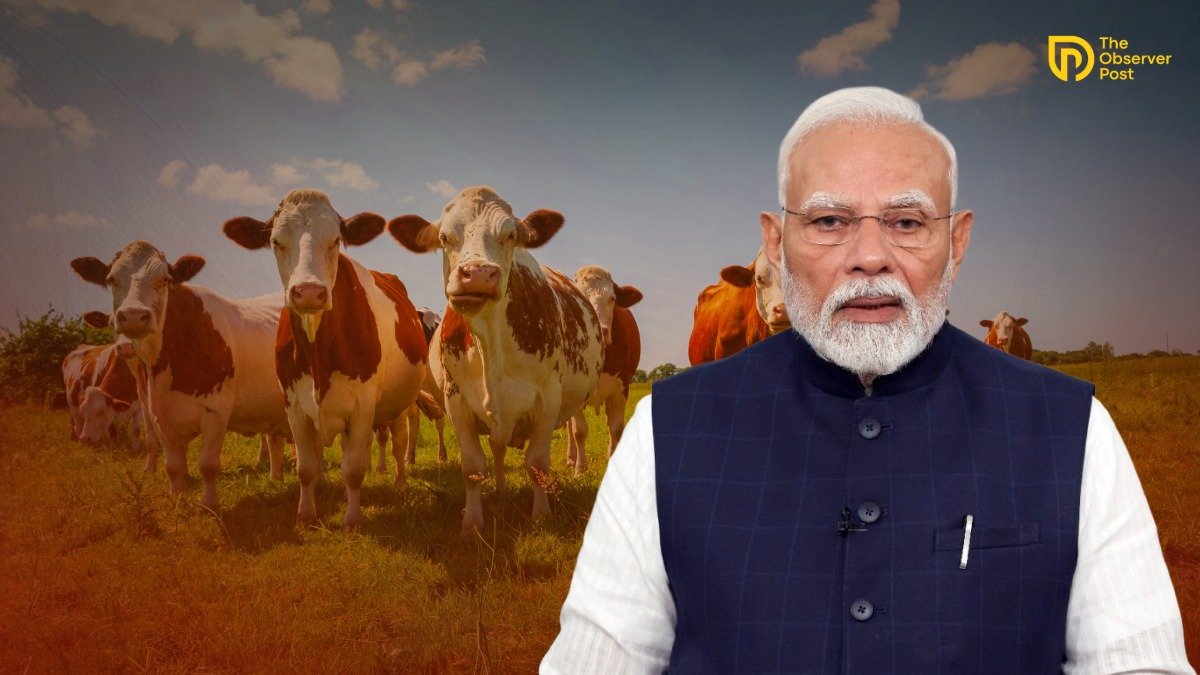 No Plan to Declare Cow National Animal or Ban Cow Slaughter Nationwide: Union Minister Arjun Ram Meghwal