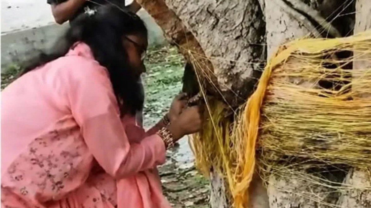Bihar Teacher Suspended After Viral Video Shows Her Allegedly Cutting Vat Savitri Threads on Banyan Tree