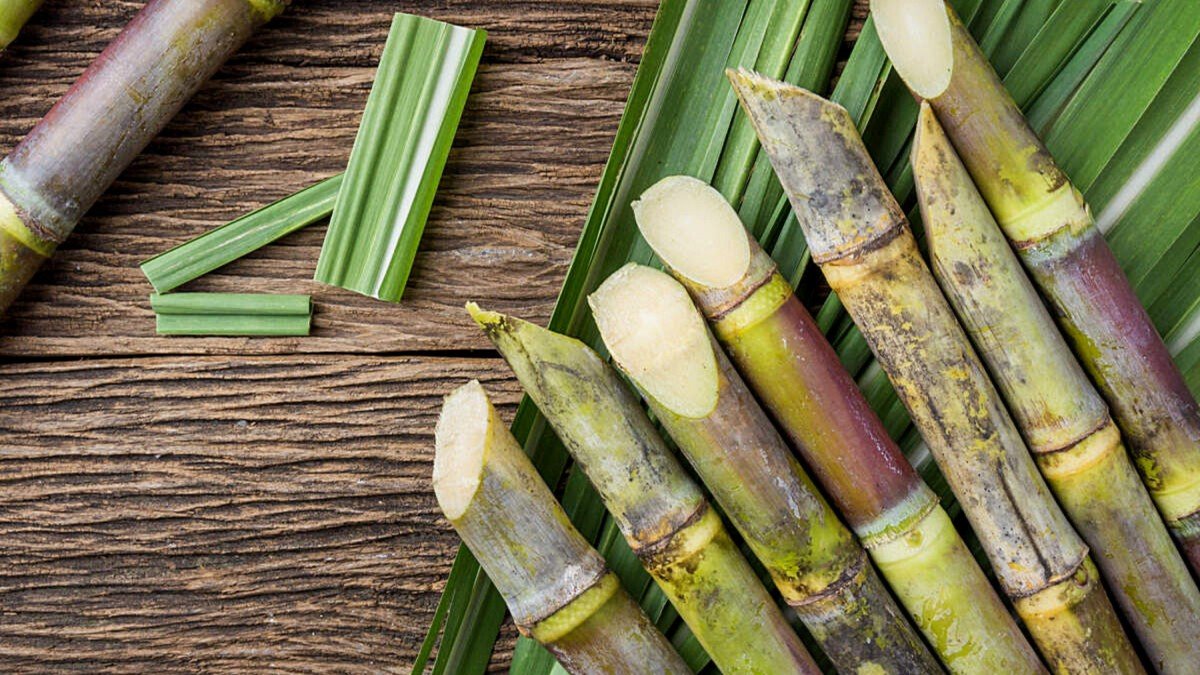 Government Allows Duty-Free Import of 10 Lakh Tonnes of Raw Sugar Amid Price Rise