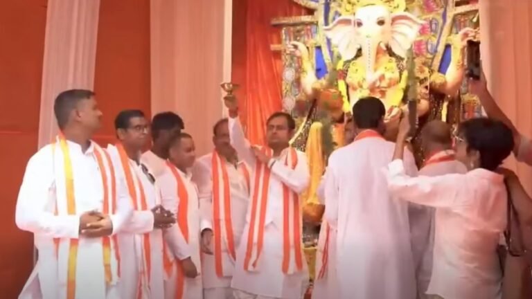 BJP Leader’s Durga Puja Takes Over Allen Park, Home of Kolkata’s Christmas