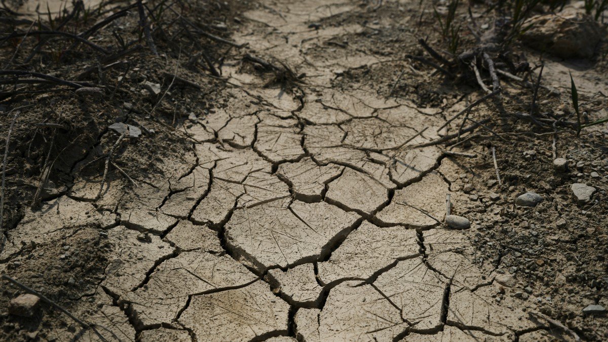 Maharashtra Declares Drought in 265 of 358 Talukas After Rainfall Deficit, Crop Losses