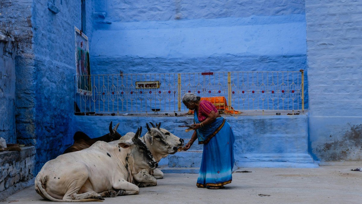 Gujarat Court Sentences Three Muslim Men to Life Imprisonment in Cow Slaughter Case, Cites Vedas and Manusmriti