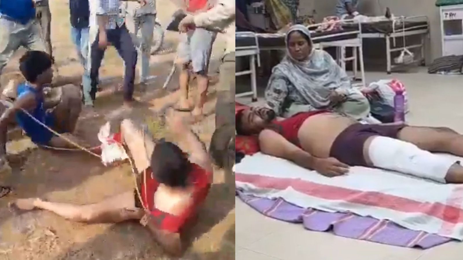 Two Muslim Traders Allegedly Assaulted Over Cattle Theft, Cow Slaughter Suspicion in MP’s Damoh
